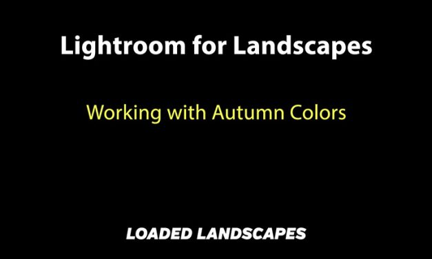 Working with Autumn Colors
